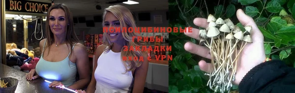 прущий лед Белоозёрский