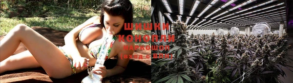прущий лед Белоозёрский
